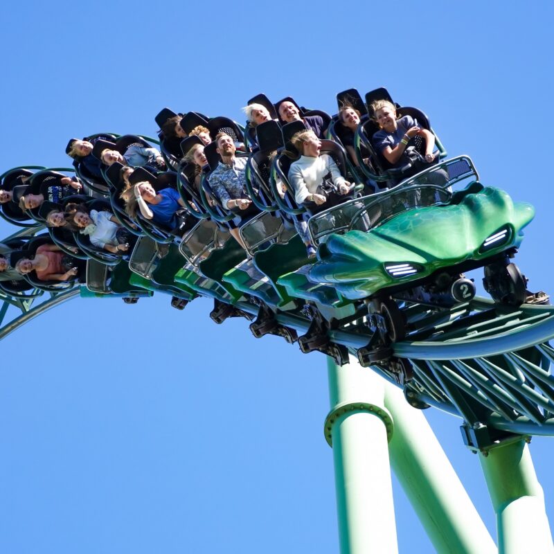 Wild ride