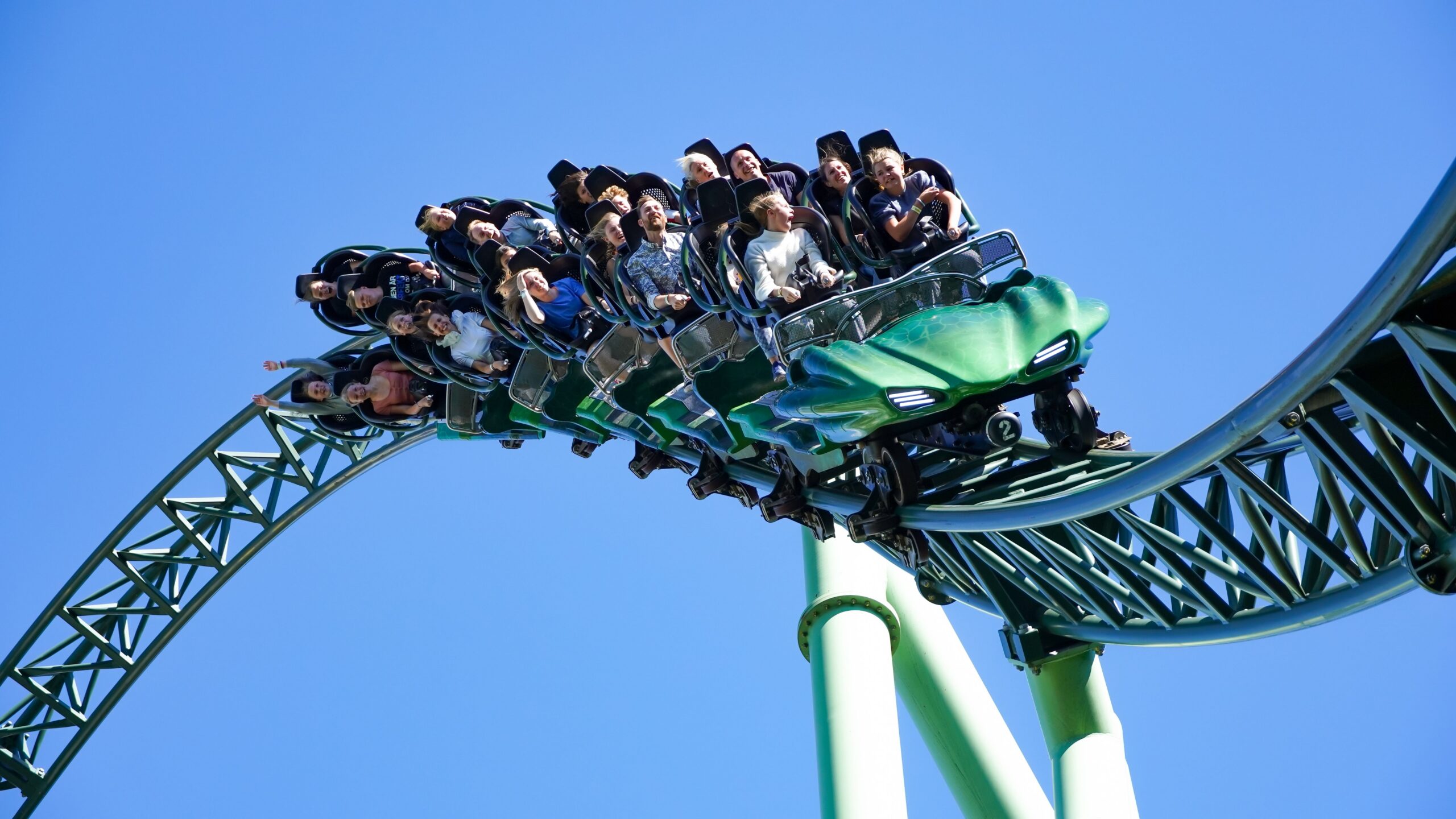 Wild ride